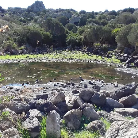 Alojamento de Acomodação e Pequeno-almoço Il Mirto 2 3*