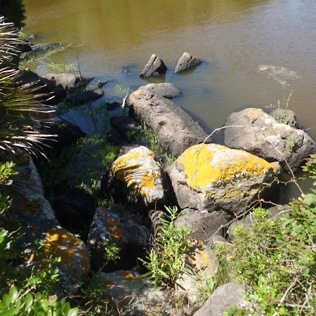 Alojamento de Acomodação e Pequeno-almoço Il Mirto 2